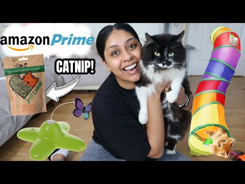 TESTING BESTSELLING AMAZON CAT TOYS ON MY CATS! HE BIT ME!