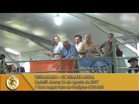 24-08-17 Venta Toros  P. Hereford P.P y Angus P.P - Terragarba - Castelli