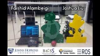 Video Demo