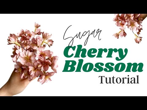 How to Make Gumpaste Cherry Blossoms // With Finespun Cakes