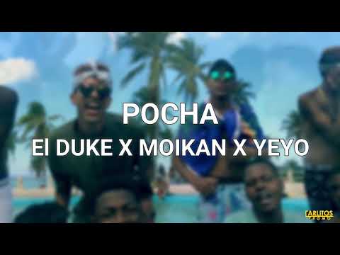 El Duke x Moikan x Yeyo - ''Pocha'' (Audio Oficial)