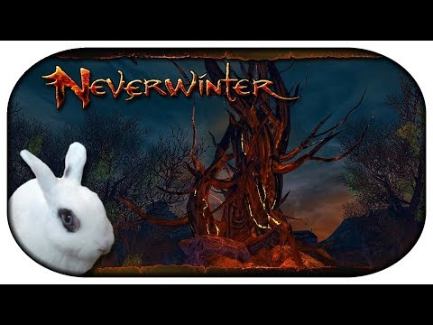 🐇 NEVERWINTER: Paladin-LP #22 - Der Galgenbaum