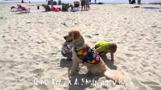 SDWR Autism Awareness