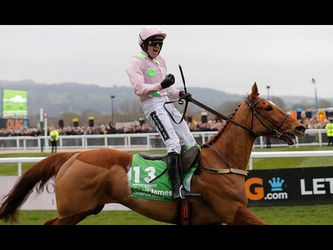 CHELTENHAM CHAMPION HURDLE 2017 SPECIAL!! UNE PETITE SELECTION!!