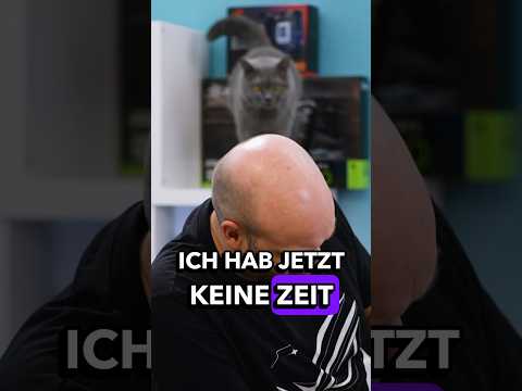 Kater gegen PC Build… und natürlich gewinnt das Chaos #gamingpc #pchardware #pcbuilding