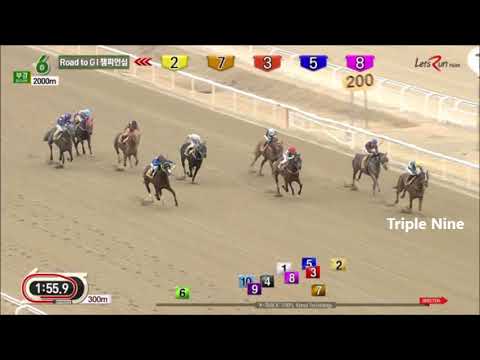 Busan Mayor's Cup 2018 Preview