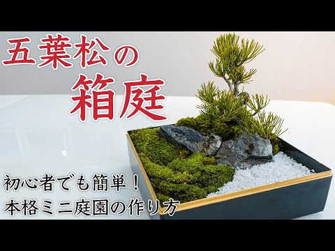 jardin-exotique-plmier-piscine-terrasse-bois-bonsaï