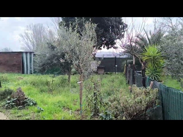 Ponte A greve bilocale