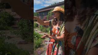 JUNE GARDEN TOUR: Herbs, Veg, Pollinator, and Cottage Gardens #garden