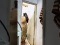 Kegiatan Pagi Yang Random