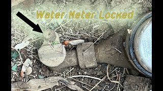 City locked the water meter, so borrow from your neighbor.