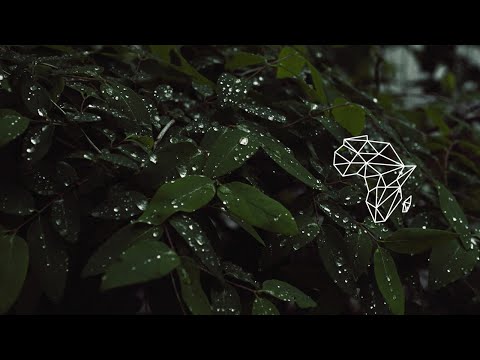 Dj Vivona Feat Monique Bingham - Over Him Under Him (Original Mix) [Afro House / Sunclock Records]