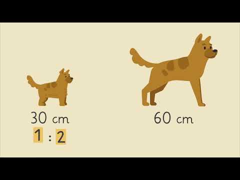 Der Maßstab einfach erklärt | sofatutor