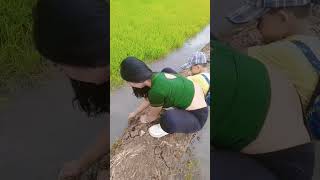Download lagu di pegang licin #petualang #alam #bolang #mancing mp3