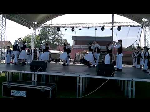 ZILELE COMUNEI VLADIMIRESCU - ANSAMBLUL PASTRATORI TRADITIEI DIN PECICA