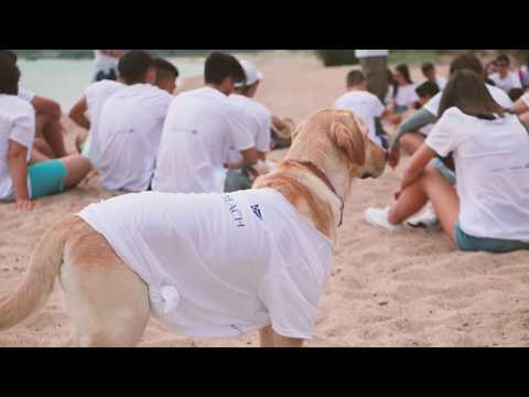 YCCS Clean Beach Day 2019