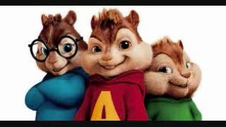 TEX JAMES FT STEUY ROCK SMART GIRLDUMB BOOTY