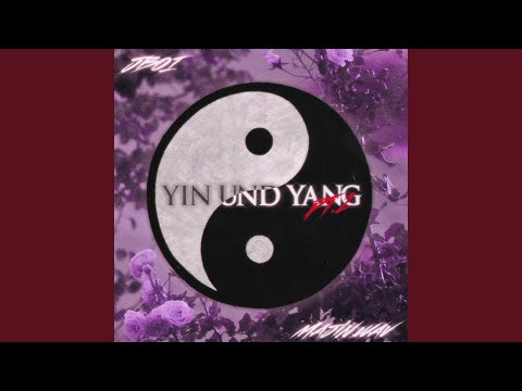 Yin & Yang pt. 2 (feat. majin wav)