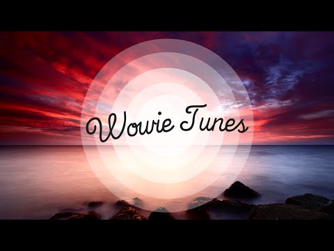 Ferry Tayle ft. Sarah Shields & Ludovic H - The Most Important Thing (Noise Killerz Remix)