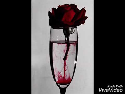 Sara Pavlović-Trag u snijegu