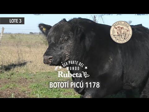 BOTOTÍ PICÚ 1178 RENACIDO - LOTE 3
