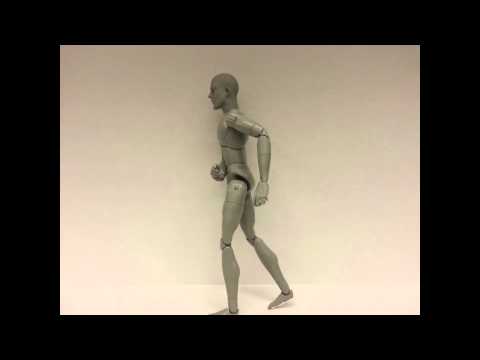 First walk cycle | Art184 Basic Animation