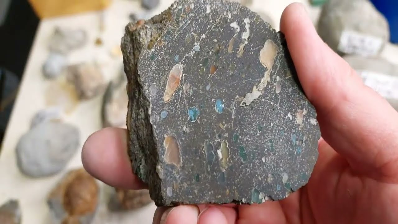 Mamlambo Fossils is live!