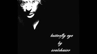 butterfly eye by soulchaser