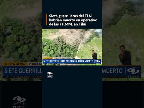 Siete guerrilleros del ELN habrían muerto en operativo de las FF.MM. en Tibú