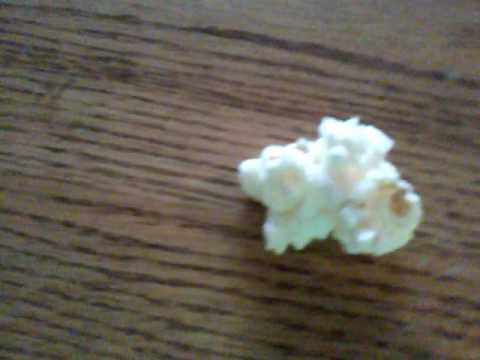 image-Where is the largest popcorn ball?