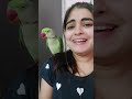 Single Life Shorts Talkingparrots Rjanukritisharma
