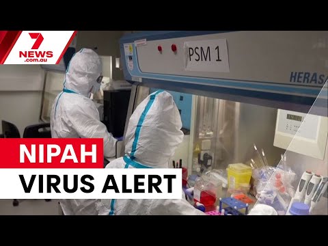 Nipah virus outbreak triggers airport screening across Asia | 7NEWS