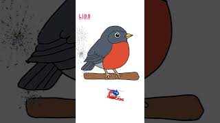 How to Draw a Cute Robin - Easy Bird Drawing for Kids & Beginners #lidoartworks