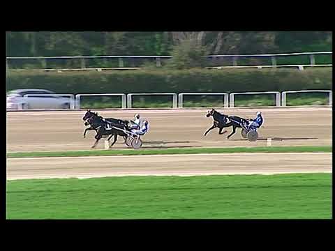 Trotto 28/11/2020 - prova di qualifica