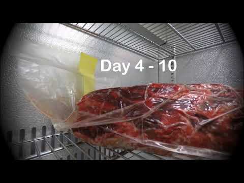 Timelapse 55Grad Reifebeutel 2017