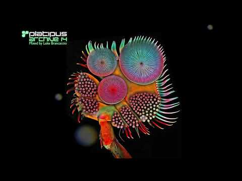 POB Featuring DJ Patrick Reid - 'Fly' (Rolo Green Remix) [Platipus Preview]