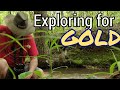 Chasing Gold with Fisher Gold Bug 2