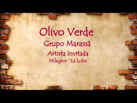 Olivo Verde