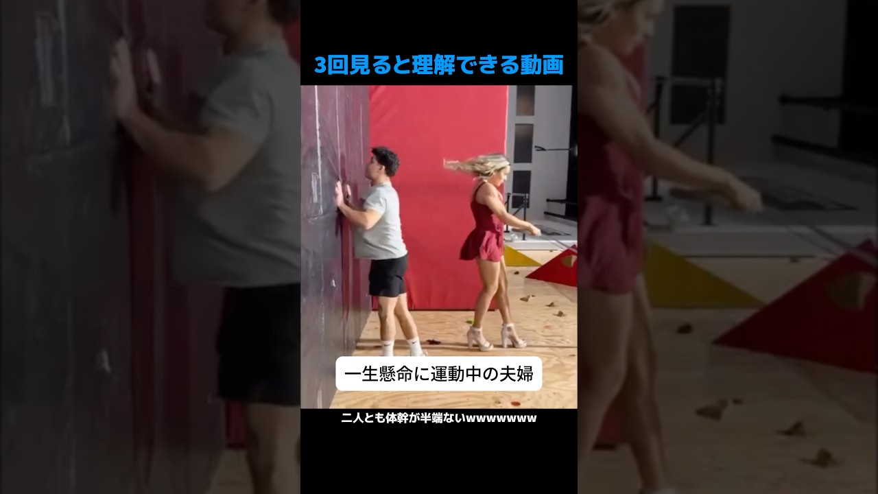 3回見ると理解できる動画