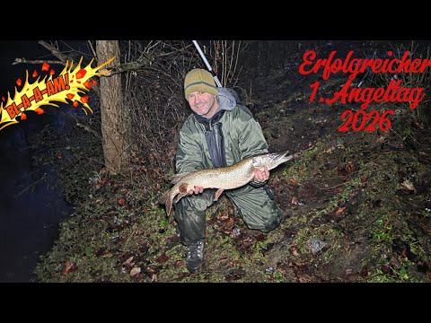 Angeln am kleinen Fluss-Biss auf Biss🎣! #aalangeln #zander #waller 