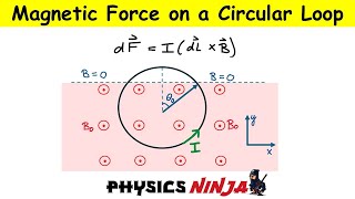 Magnetic Force on a Circular Loop