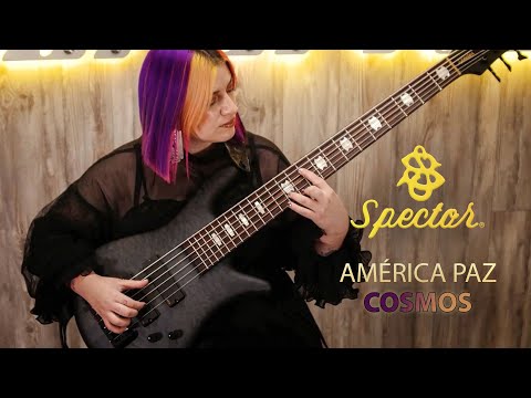 Spector Euro 6 LX - Black Stain Matte image 8