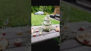 Wedding snapshots... Song by Avant- Toast to Love