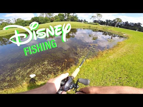 Fiskeri efter bass i Disneyland i Florida