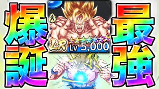 遂に完凸したLR小鳥悟空で暴れます【ドラゴンボールレジェンズ】【DRAGONBALL LEGENDS】【8周年】【ゲーム実況】