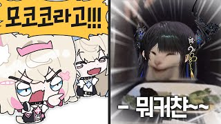 뭐커챤은 진짜 유명한 모코코임