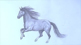 Как нарисовать бегущую лошадь карандашом - Видео онлайн