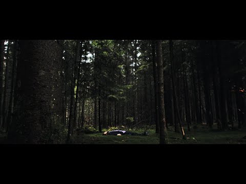 Potnik - Tuje Roke (Official Video)