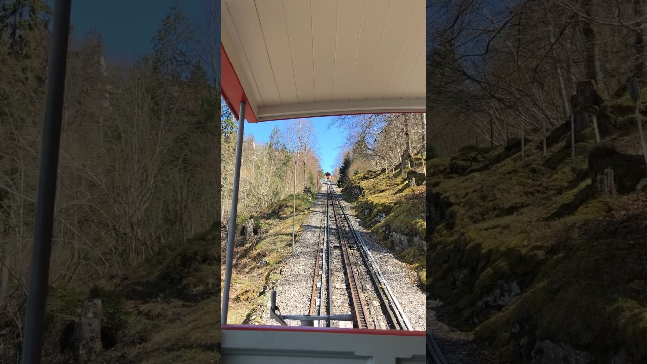 YouTube Short thumbnail