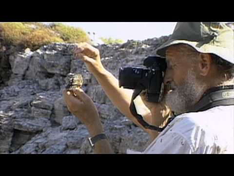 Galapagos Finch Evolution — HHMI BioInteractive Video